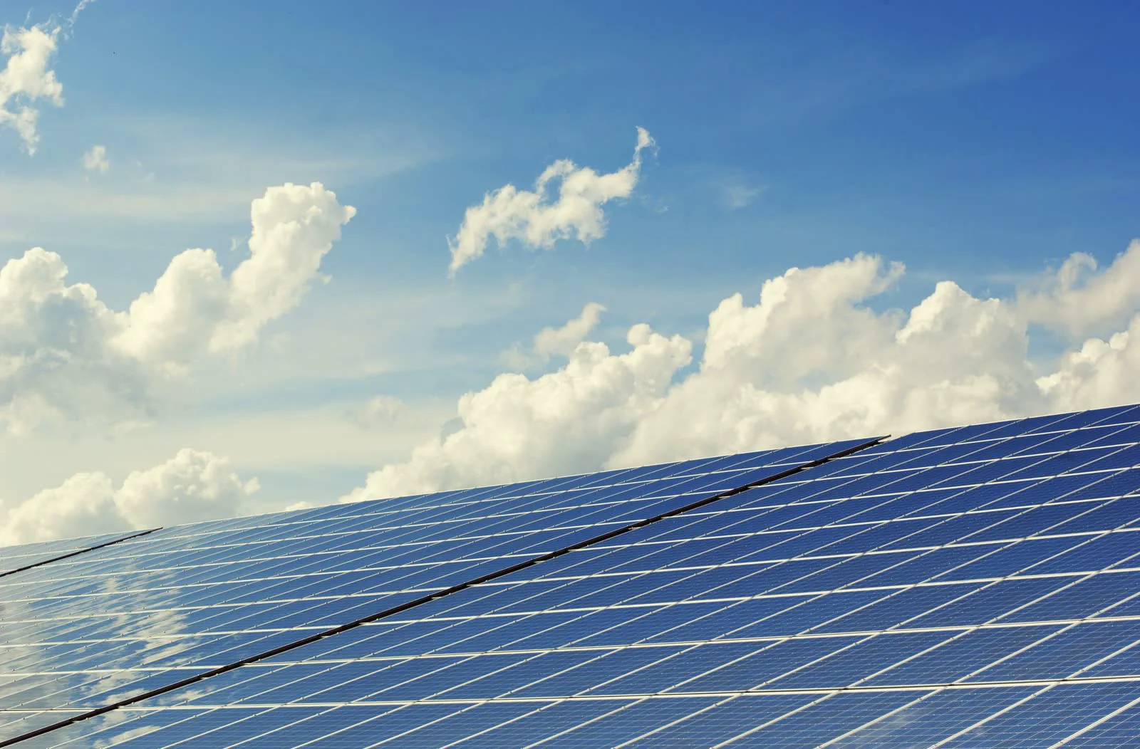 Large-scale commercial solar array installed in Auckland